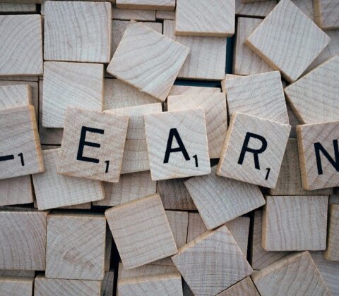 The word "LEARN" spelled out with wooden blocks.
