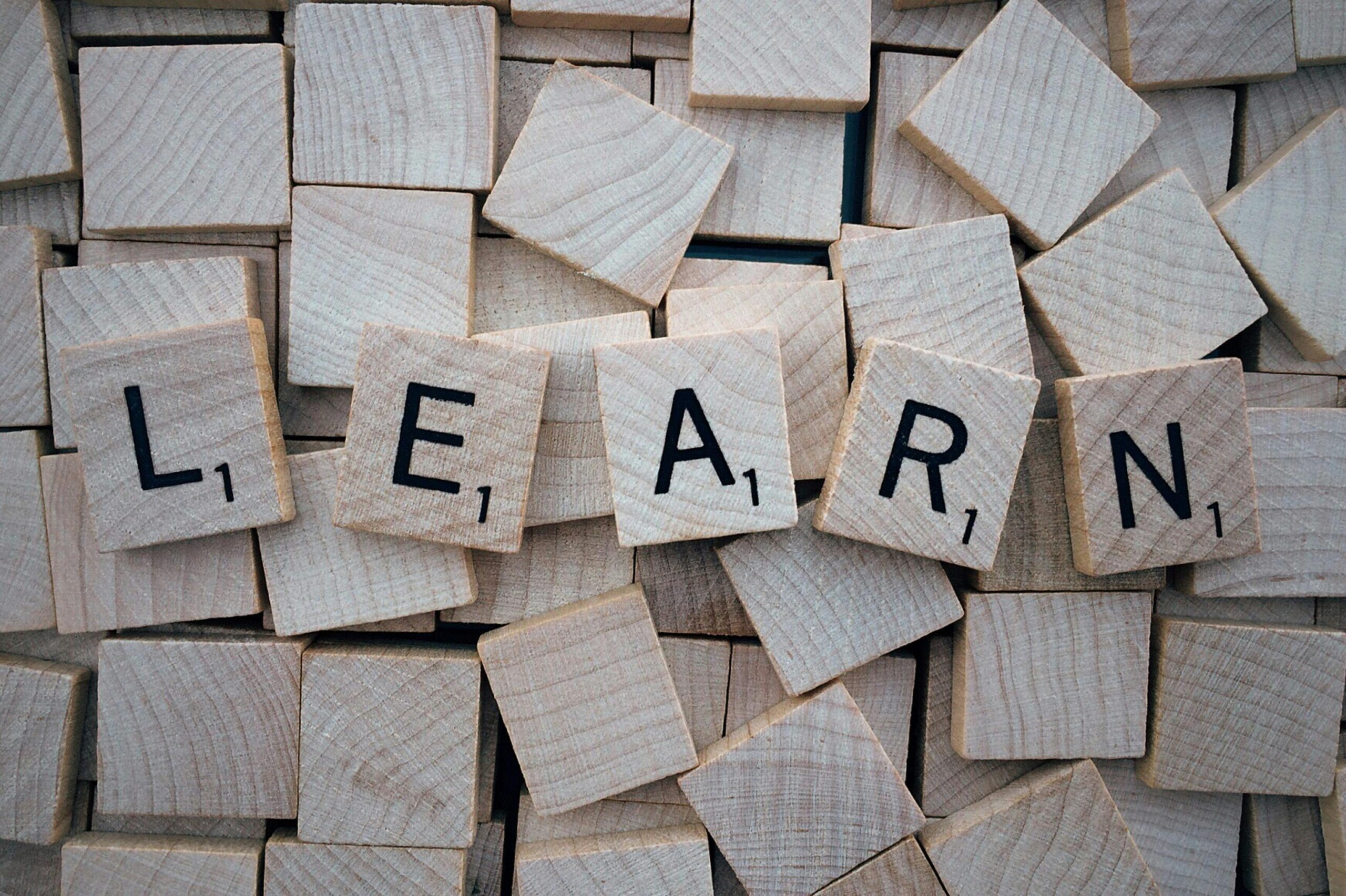 The word "LEARN" spelled out with wooden blocks.